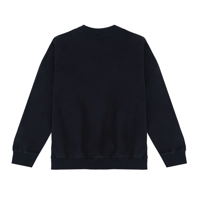 SUDADERA INST. LLEIDA 2