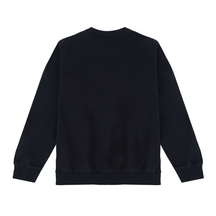 SUDADERA INST. LLEIDA